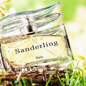 عطر ایو د سیستل ساندرلینگ